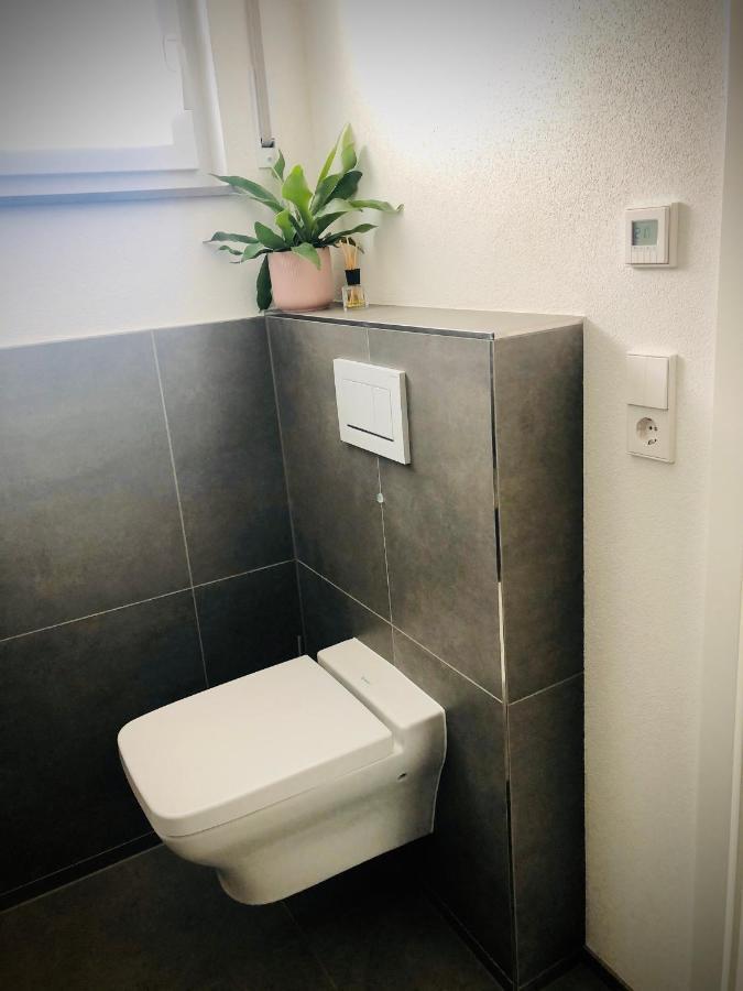 Ferienwohnung No.55 Lörrach Buitenkant foto