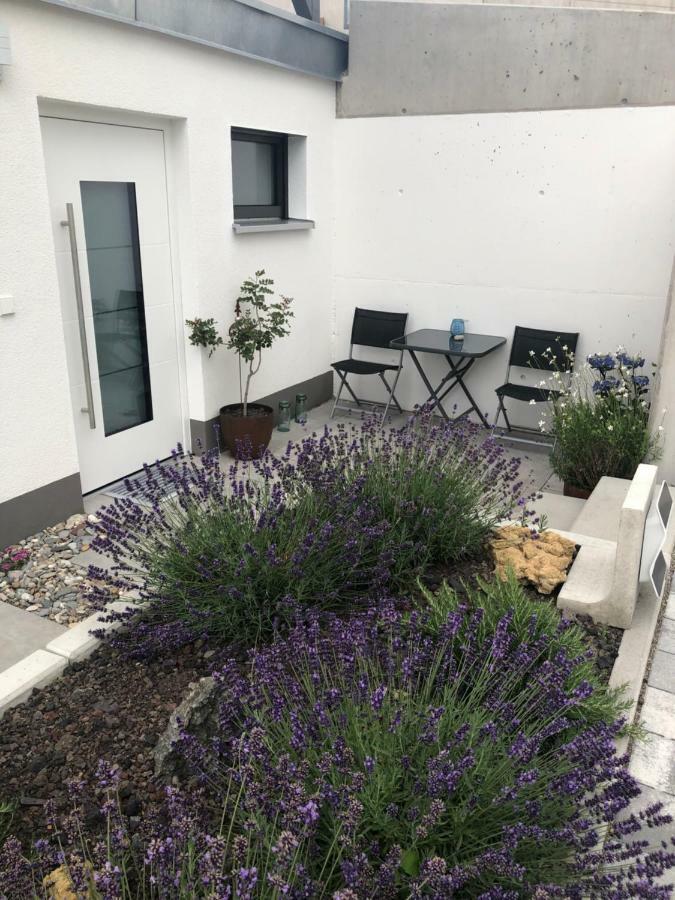 Ferienwohnung No.55 Lörrach Buitenkant foto